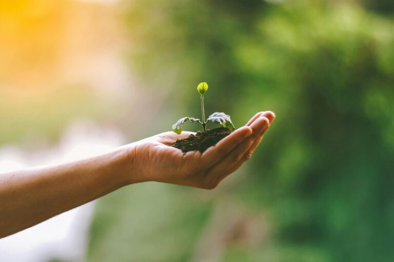 Women Going Greener | Final Newsletter – March 2025