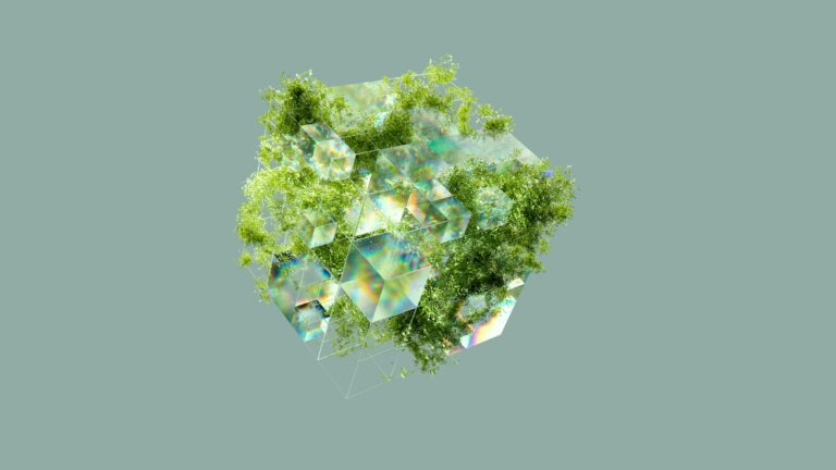 Women Going Greener | 1st Project Newsletter – October 2024
